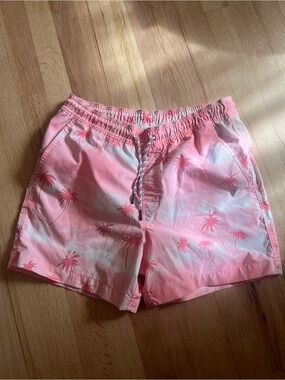 American Eagle Outfitters Pink Palm Print Swim Trunks